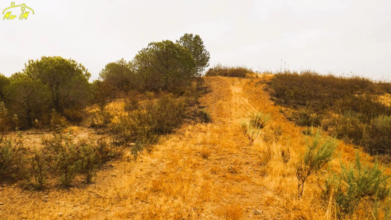Terreno Agricola ou Rústico para Venda em Castro Marim Foto 21
