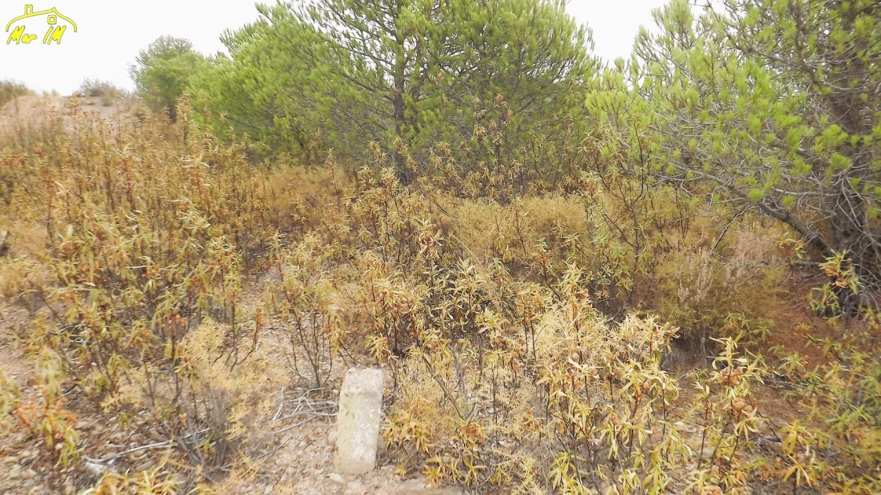 Terreno Agricola ou Rústico para Venda em Castro Marim Foto 23