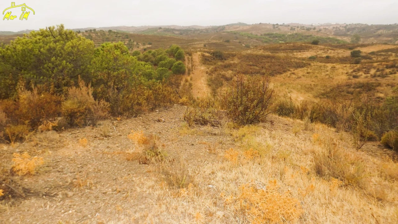 Terreno Agricola ou Rústico para Venda em Castro Marim Foto 30