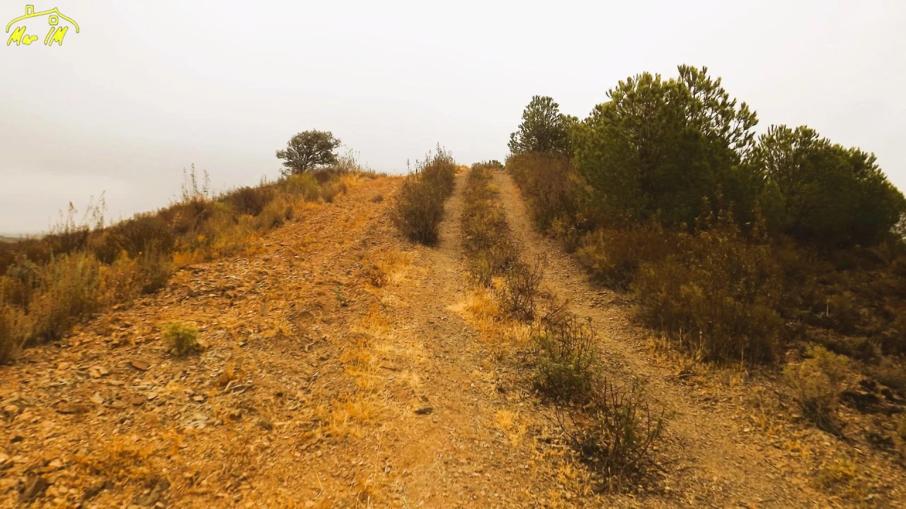 Terreno Agricola ou Rústico para Venda em Castro Marim Foto 31