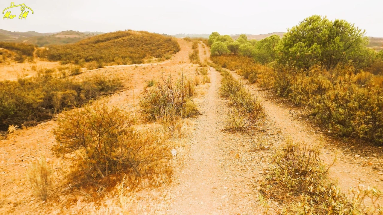 Terreno Agricola ou Rústico para Venda em Castro Marim Foto 39