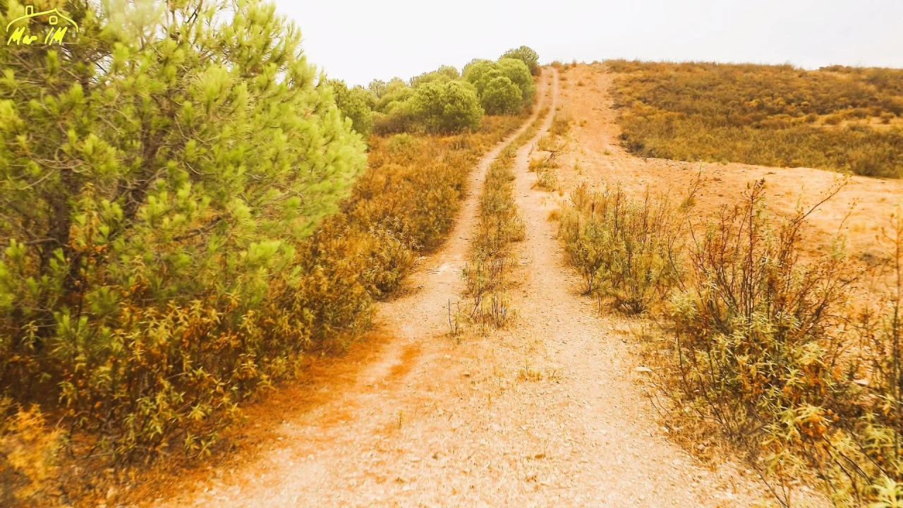 Terreno Agricola ou Rústico para Venda em Castro Marim Foto 40