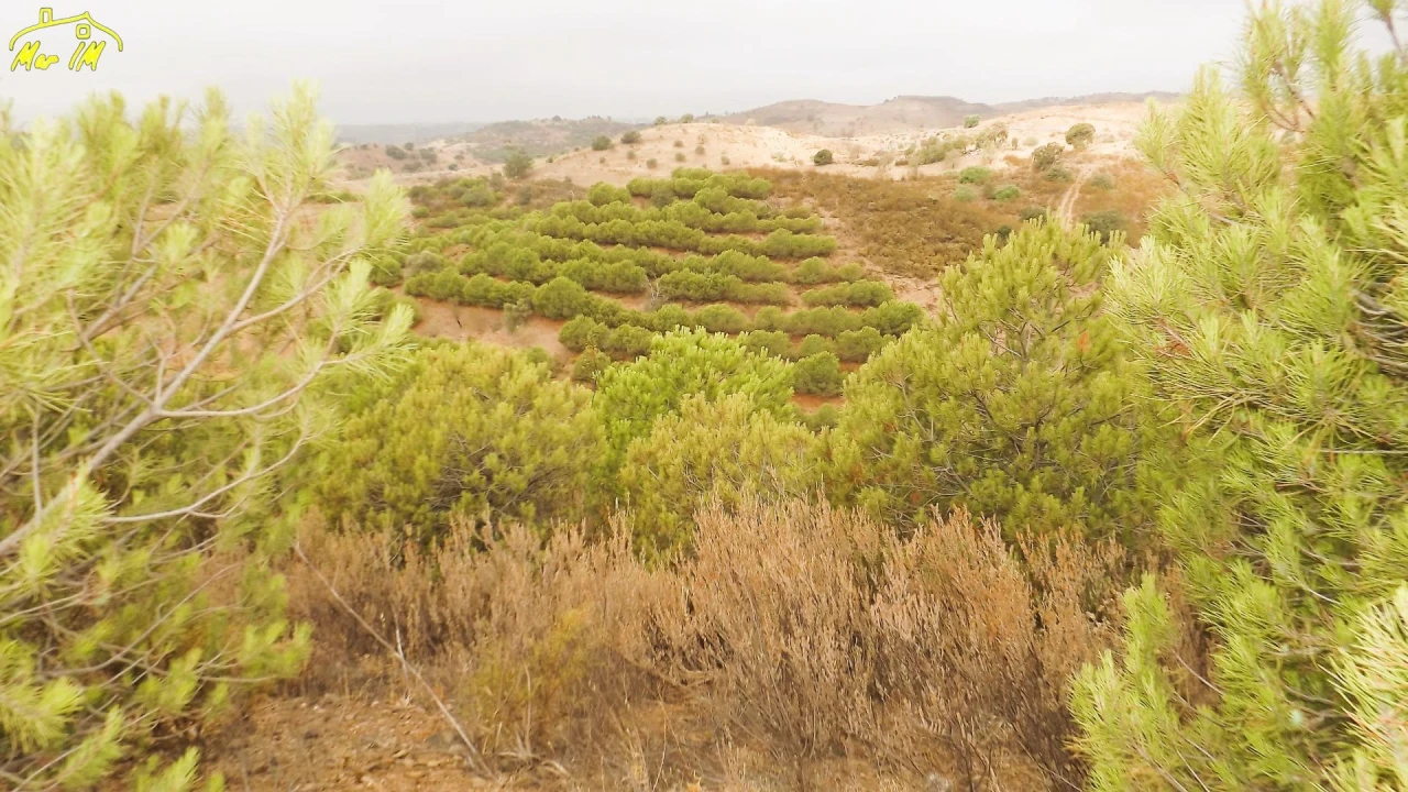 Terreno Agricola ou Rústico para Venda em Castro Marim Foto 43