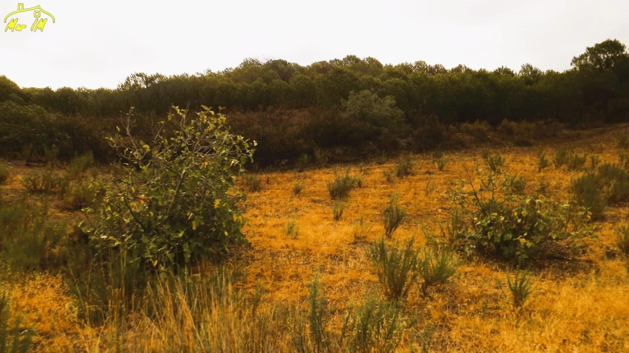 Terreno Agricola ou Rústico para Venda em Castro Marim Foto 46