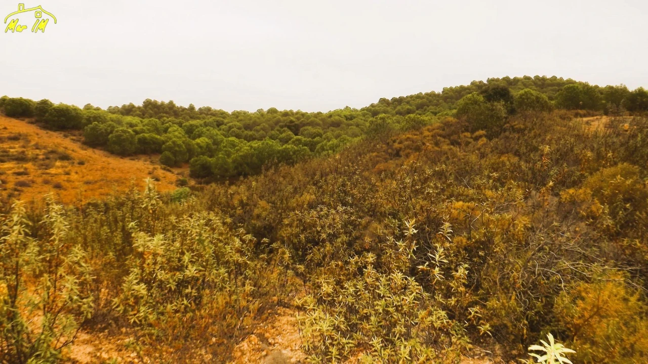 Terreno Agricola ou Rústico para Venda em Castro Marim Foto 5