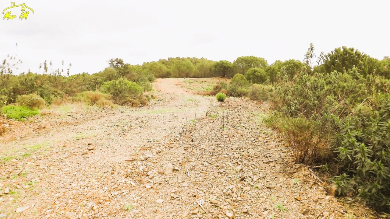 Terreno Agricola ou Rústico para Venda em Castro Marim Foto 50
