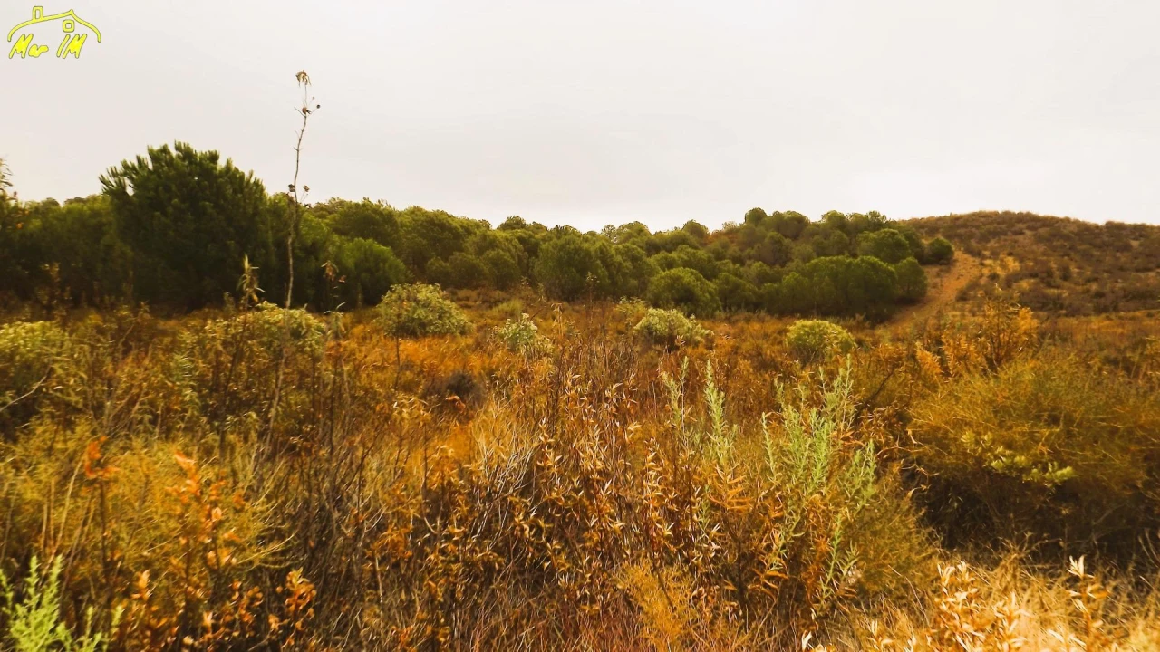 Terreno Agricola ou Rústico para Venda em Castro Marim Foto 6