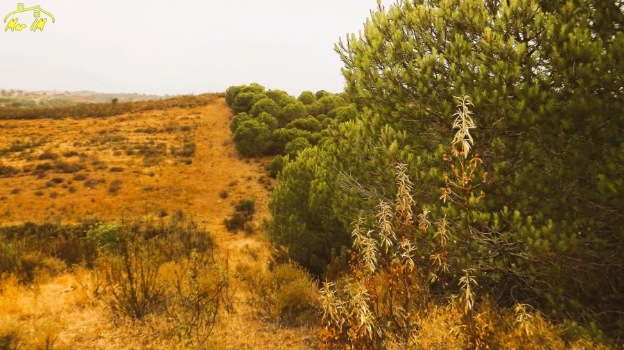 Terreno Agricola ou Rústico para Venda em Castro Marim Foto 10