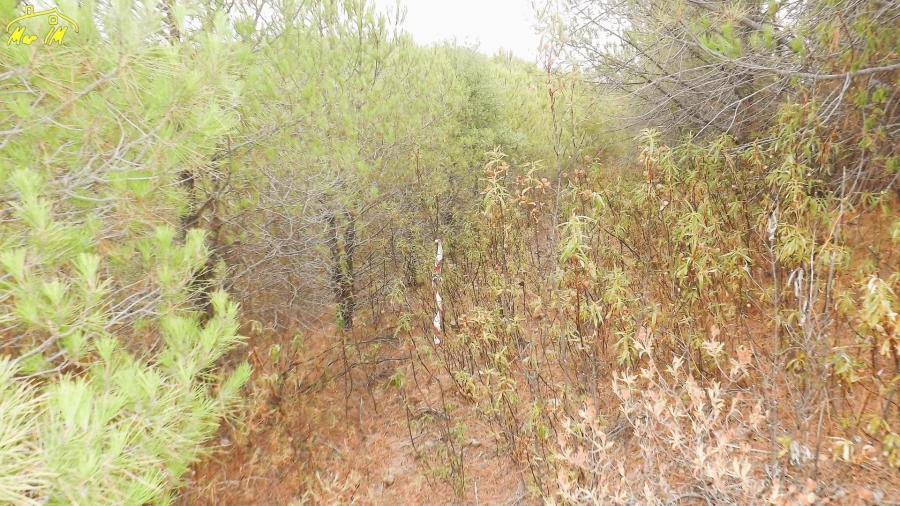 Terreno Agricola ou Rústico para Venda em Castro Marim Foto 11