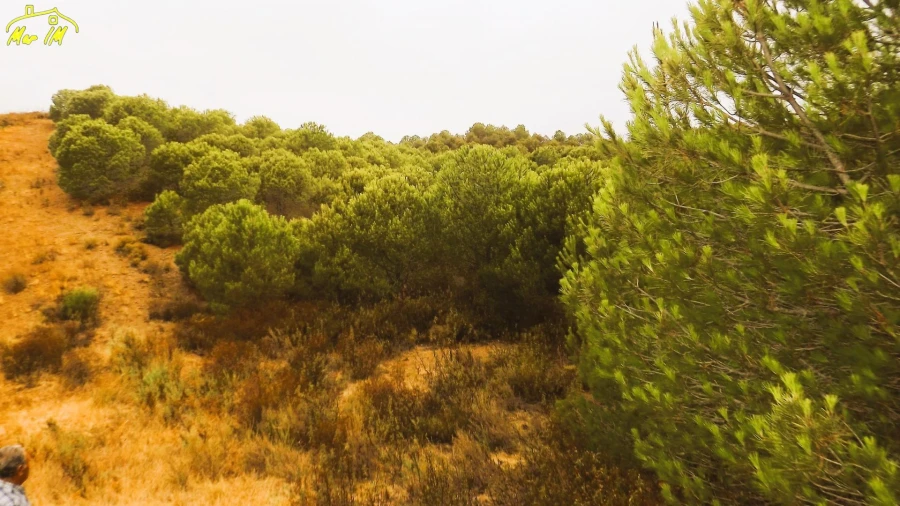 Terreno Agricola ou Rústico para Venda em Castro Marim Foto 12