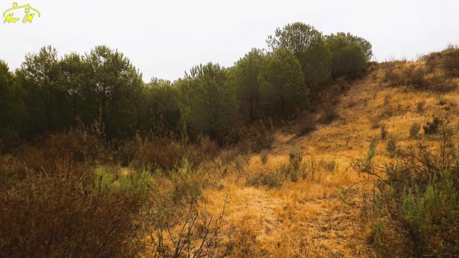 Terreno Agricola ou Rústico para Venda em Castro Marim Foto 13