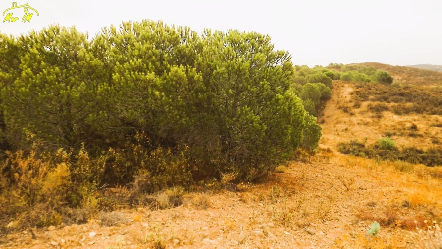 Terreno Agricola ou Rústico para Venda em Castro Marim Foto 16