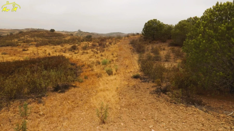 Terreno Agricola ou Rústico para Venda em Castro Marim Foto 18