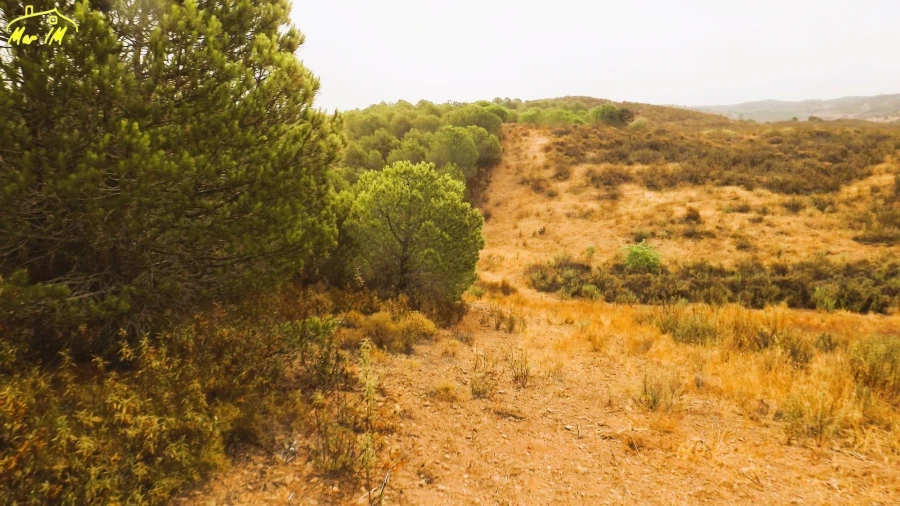 Terreno Agricola ou Rústico para Venda em Castro Marim Foto 2