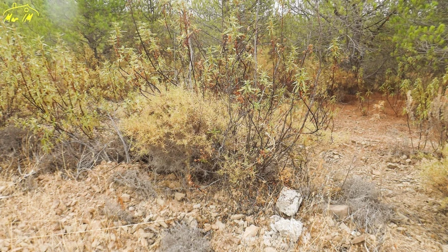 Terreno Agricola ou Rústico para Venda em Castro Marim Foto 24
