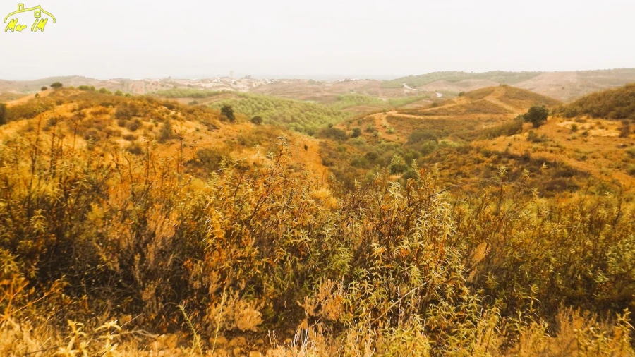 Terreno Agricola ou Rústico para Venda em Castro Marim Foto 26