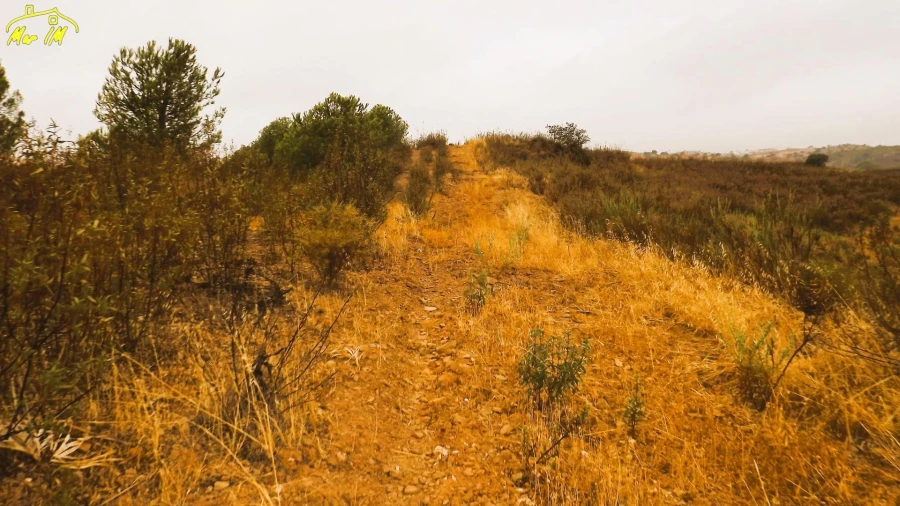 Terreno Agricola ou Rústico para Venda em Castro Marim Foto 27