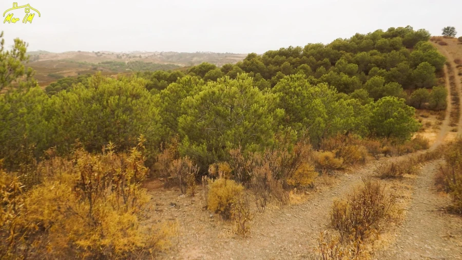 Terreno Agricola ou Rústico para Venda em Castro Marim Foto 34