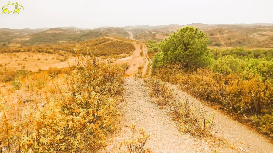 Terreno Agricola ou Rústico para Venda em Castro Marim Foto 36