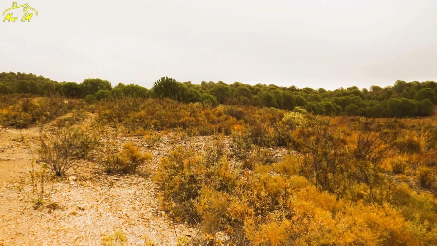 Terreno Agricola ou Rústico para Venda em Castro Marim Foto 4