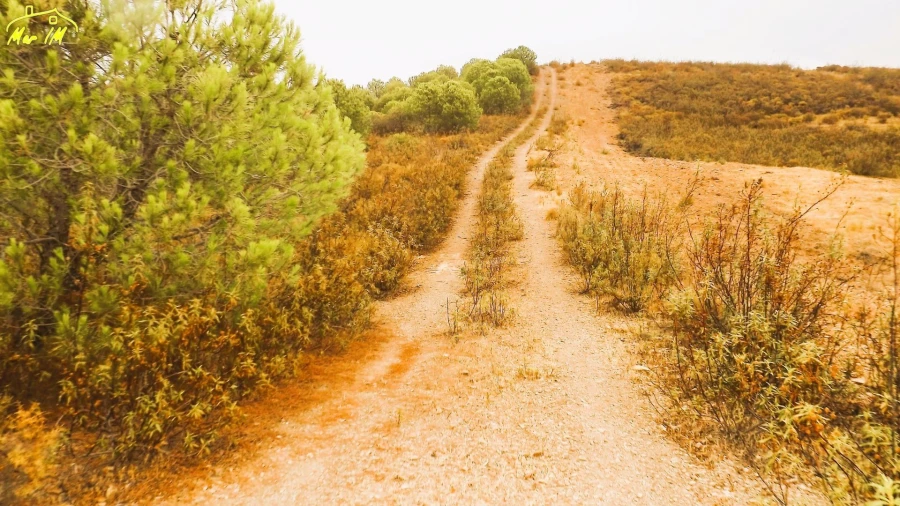 Terreno Agricola ou Rústico para Venda em Castro Marim Foto 40