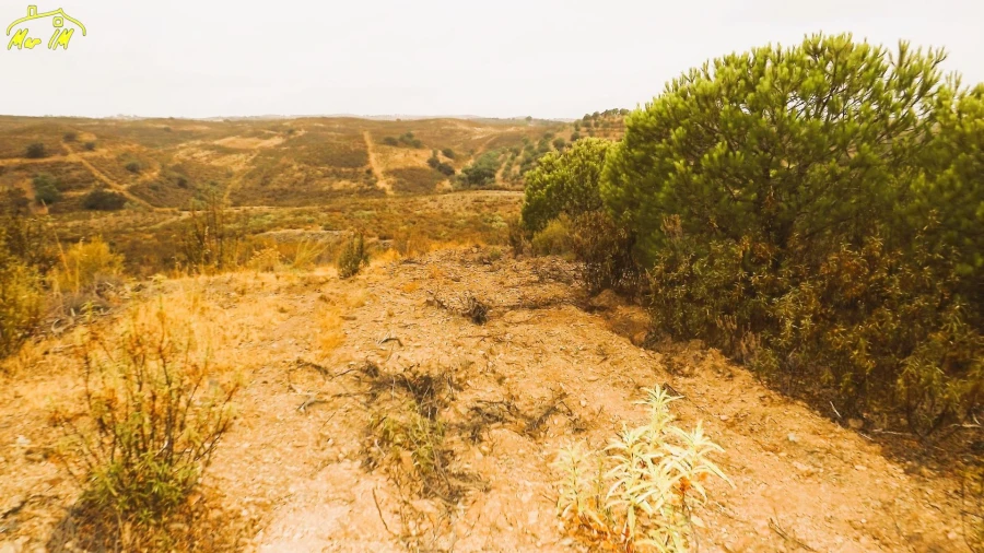 Terreno Agricola ou Rústico para Venda em Castro Marim Foto 41