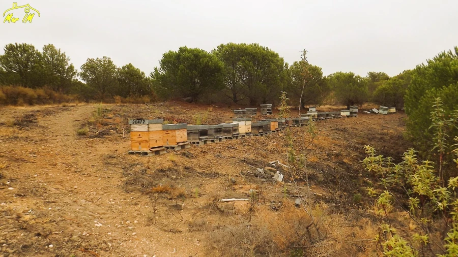 Terreno Agricola ou Rústico para Venda em Castro Marim Foto 7
