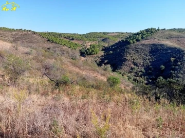 Terreno Agricola ou Rústico para Venda em Castro Marim