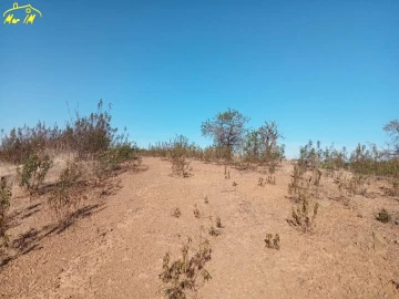 Terreno Agricola ou Rústico para Venda em Castro Marim