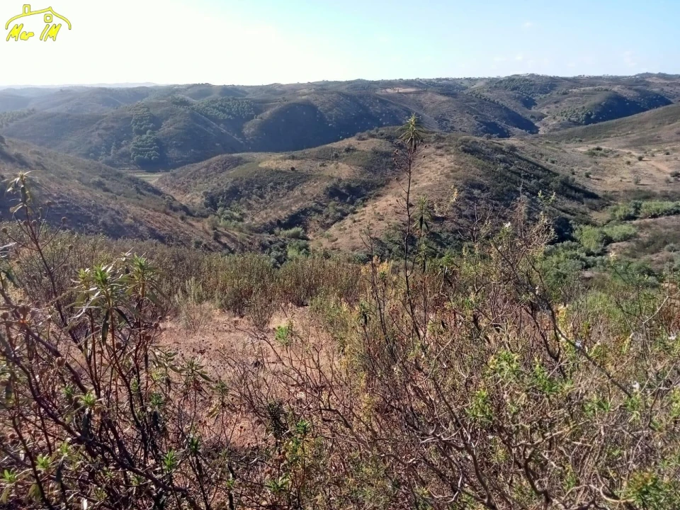 Terreno Agricola ou Rústico para Venda em Castro Marim Foto 1