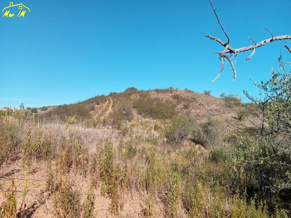 Terreno Agricola ou Rústico para Venda em Castro Marim Foto 17