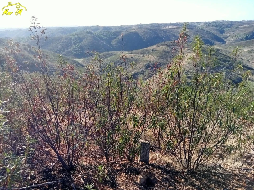 Terreno Agricola ou Rústico para Venda em Castro Marim Foto 18