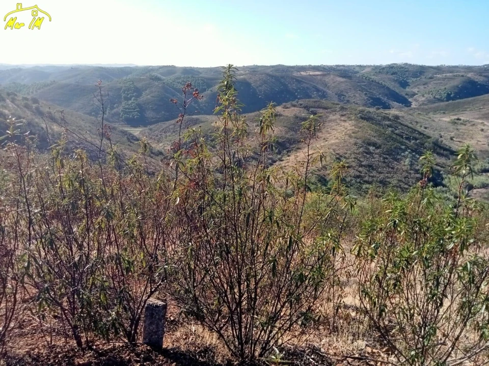Terreno Agricola ou Rústico para Venda em Castro Marim Foto 19