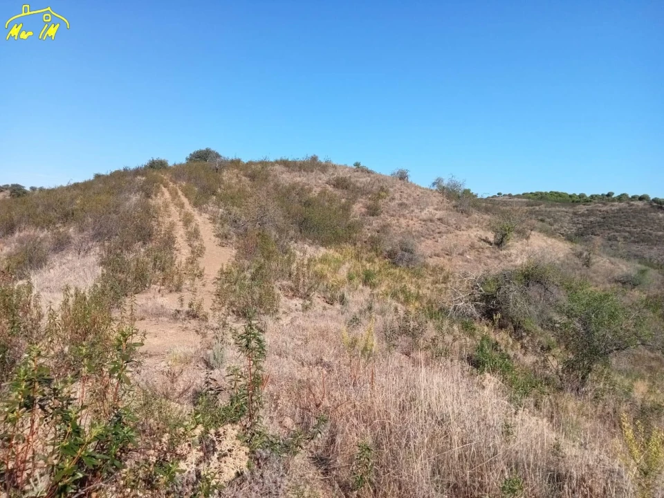 Terreno Agricola ou Rústico para Venda em Castro Marim Foto 26