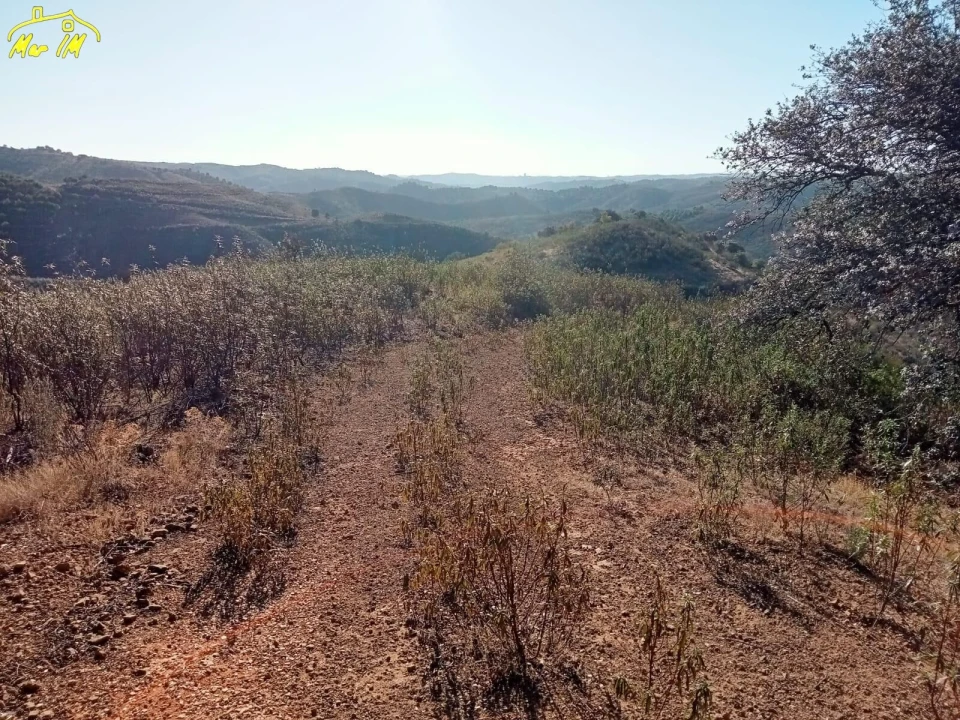 Terreno Agricola ou Rústico para Venda em Castro Marim Foto 28