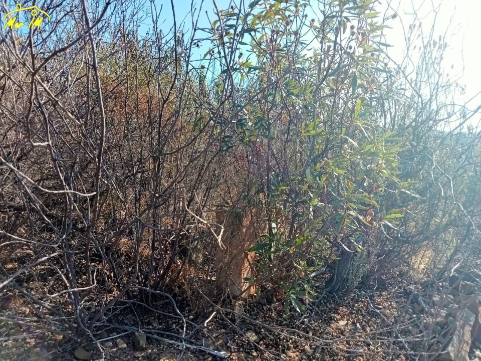 Terreno Agricola ou Rústico para Venda em Castro Marim Foto 30