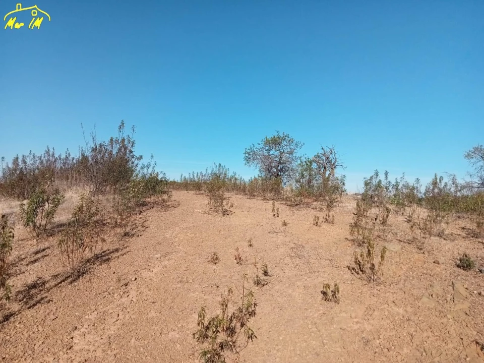 Terreno Agricola ou Rústico para Venda em Castro Marim Foto 33