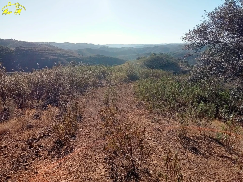 Terreno Agricola ou Rústico para Venda em Castro Marim Foto 37