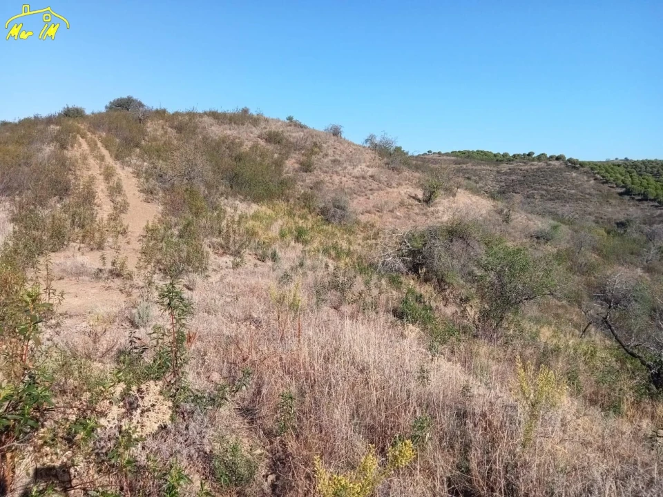 Terreno Agricola ou Rústico para Venda em Castro Marim Foto 40