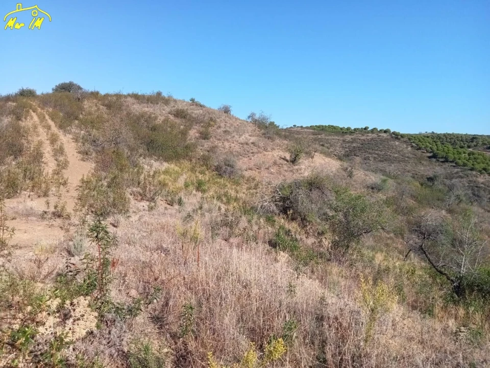 Terreno Agricola ou Rústico para Venda em Castro Marim Foto 48