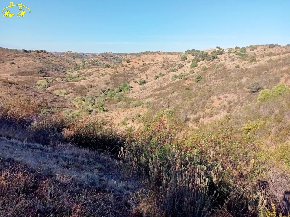 Terreno Agricola ou Rústico para Venda em Castro Marim Foto 6