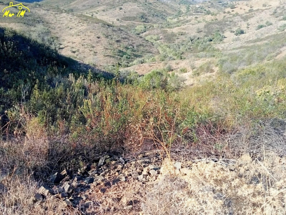 Terreno Agricola ou Rústico para Venda em Castro Marim Foto 7
