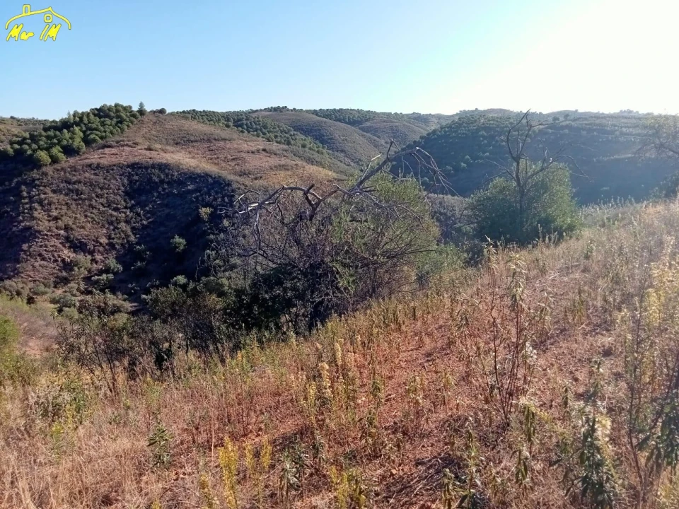 Terreno Agricola ou Rústico para Venda em Castro Marim Foto 8