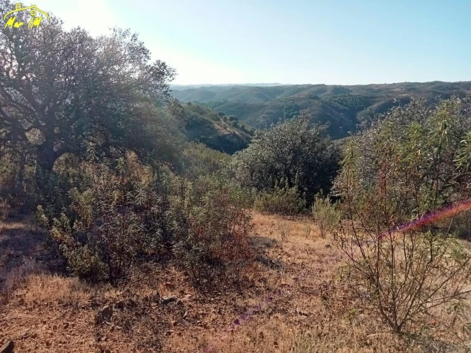 Terreno Agricola ou Rústico para Venda em Castro Marim Foto 11
