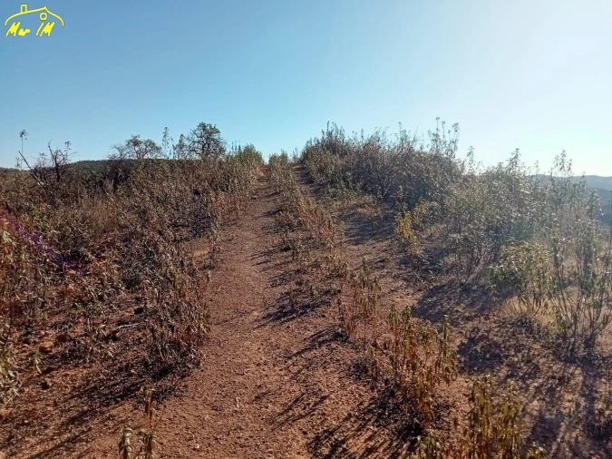 Terreno Agricola ou Rústico para Venda em Castro Marim Foto 13