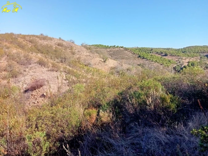 Terreno Agricola ou Rústico para Venda em Castro Marim Foto 16