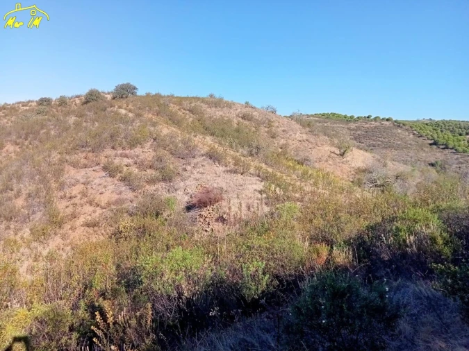 Terreno Agricola ou Rústico para Venda em Castro Marim Foto 22
