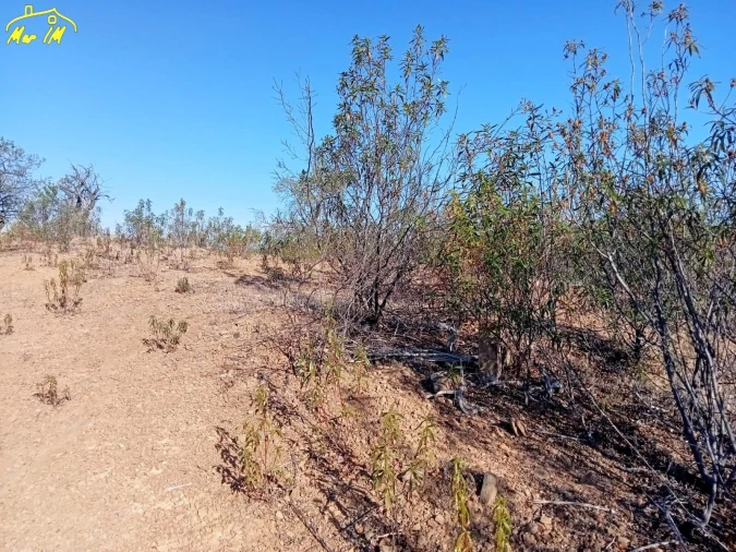 Terreno Agricola ou Rústico para Venda em Castro Marim Foto 24
