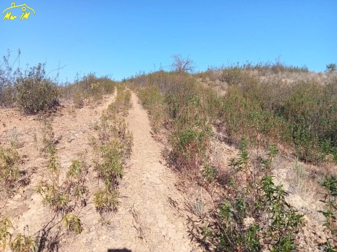 Terreno Agricola ou Rústico para Venda em Castro Marim Foto 25