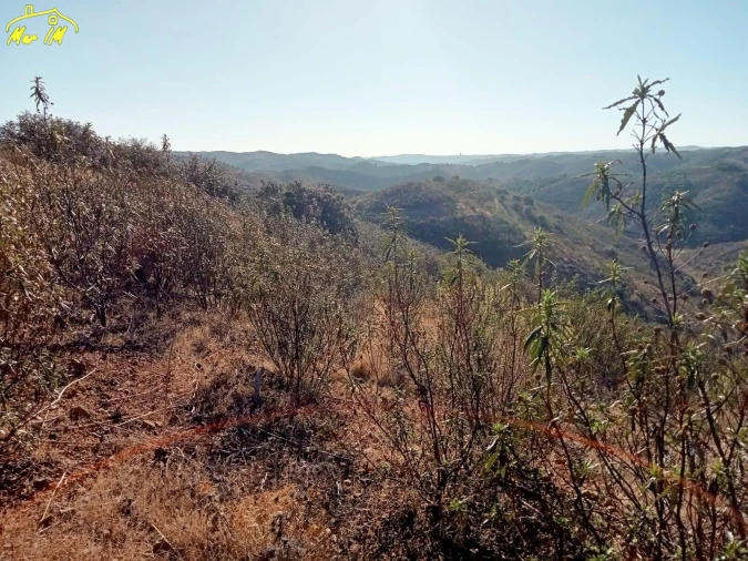 Terreno Agricola ou Rústico para Venda em Castro Marim Foto 29